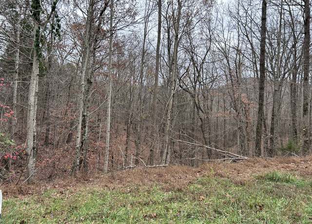 Property at 0 Cheyenne Dr, Jamestown, TN 38556