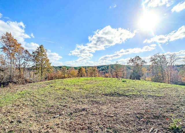 Property at 0 Lick Creek Rd, Linden, TN 37096