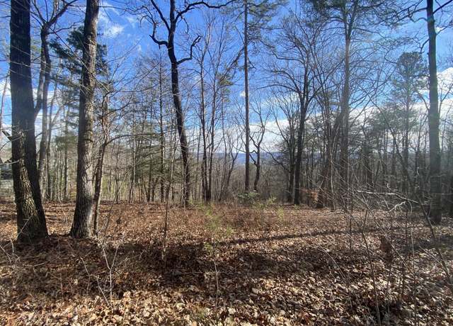 Property at 0 Bluff View Dr, Dunlap, TN 37327