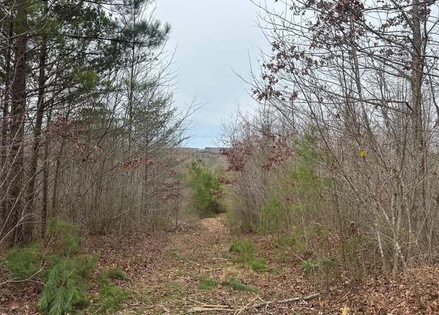 Property at 523 Browns Hollow Rd, Tracy City, TN 37387