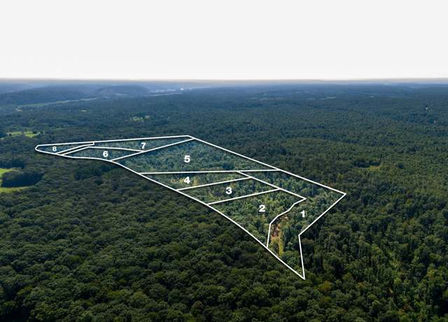 Property at 655 Dyer Rd, Hurricane Mills, TN 37078