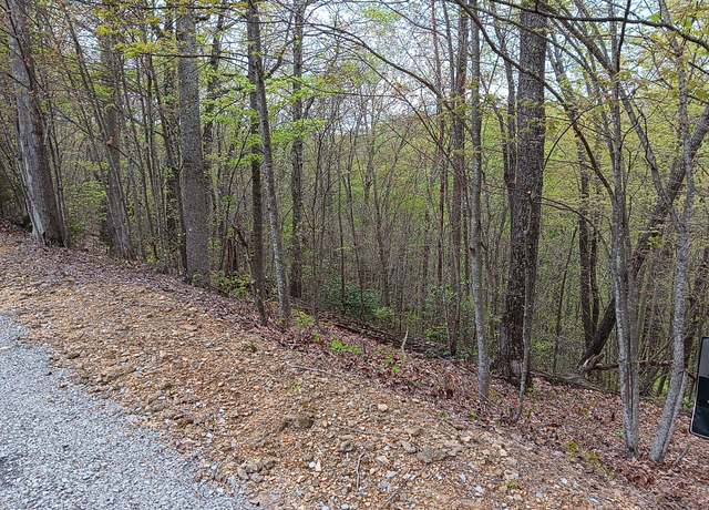 Property at 273 Tennis Center Dr, Smithville, TN 37166