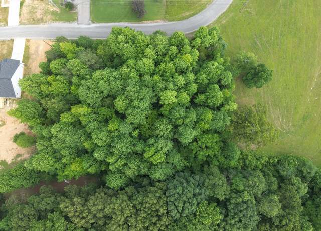 Property at 0 Lexie Ln, Lawrenceburg, TN 38464