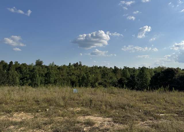 Property at 169 Twin Pines Rd, Lobelville, TN 37097
