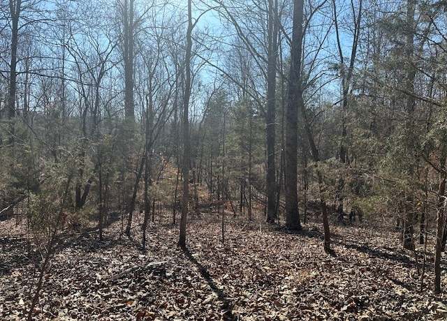 Property at 0 S Lick Crk, Lyles, TN 37098