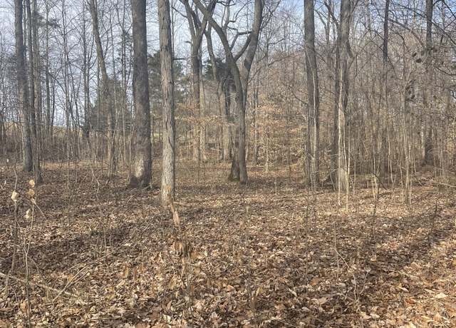 Property at 0 Dobbins Pike, Portland, TN 37148