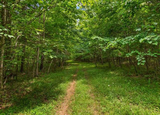 Property at 0 Lasea Rd, Spring Hill, TN 37174