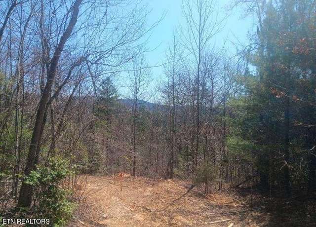Property at 255 Copperhead Rd, Oakdale, TN 37829