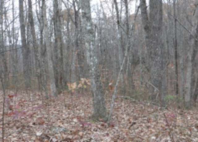 Property at 0 Cumberland Cove Rd, Monterey, TN 38574