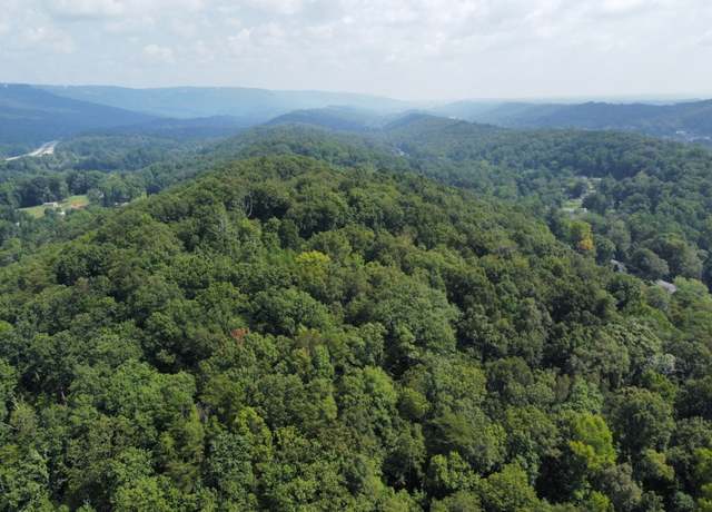 Property at 0 Browntown Rd, Chattanooga, TN 37415
