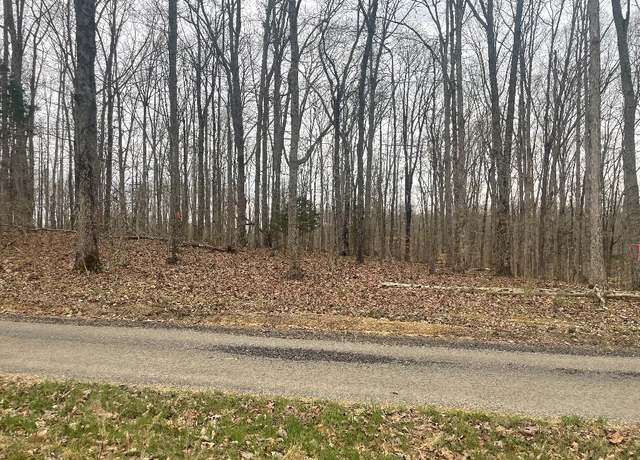 Property at 133 Shelton Cemetery Rd, Cumberland Furnace, TN 37051