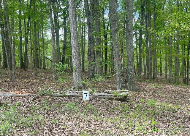 Property at 133 Shelton Cemetery Rd, Cumberland Furnace, TN 37051