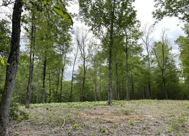 Property at 0 Primm Ridge Rd, Primm Springs, TN 38476