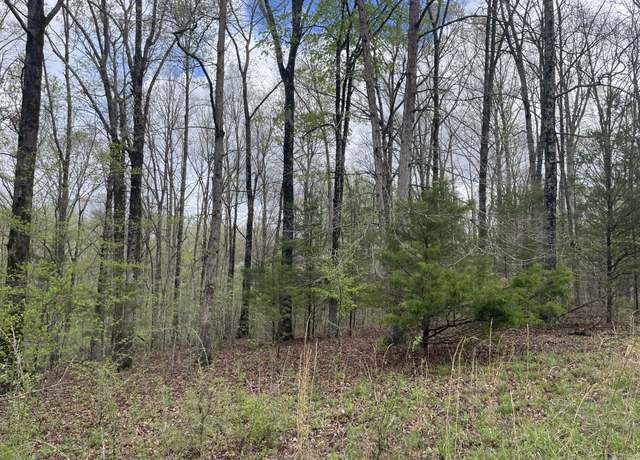 Property at 0 Eagle Creek Ct, Nunnelly, TN 37137