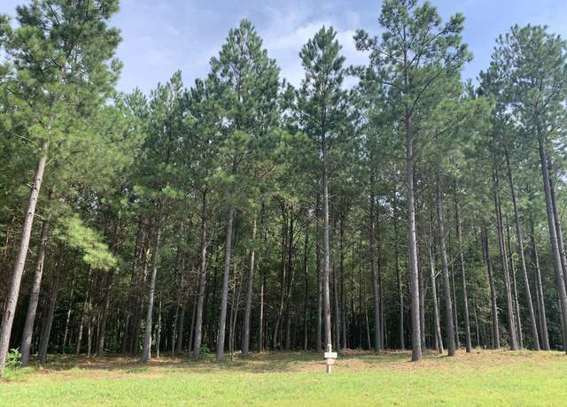 Property at 5140 Crockett Pt, Jasper, TN 37347
