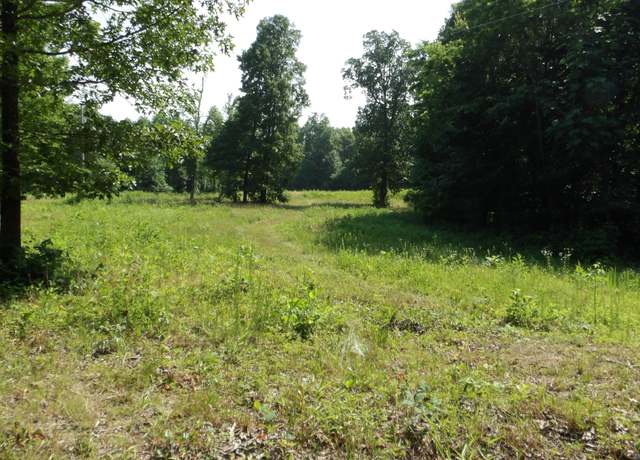 Property at 0 Pleasant Cemetery Ln, Gainesboro, TN 38562