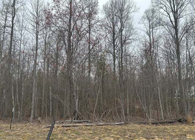 Property at 0 Volunteer St, Jasper, TN 37347
