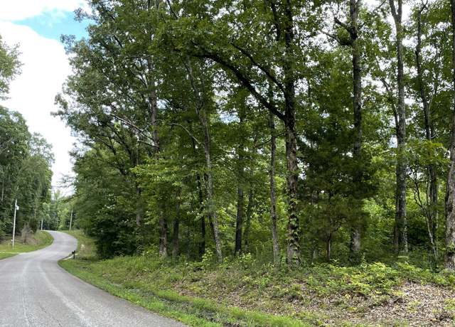 Property at 0 Pugh Rd, Holladay, TN 38341