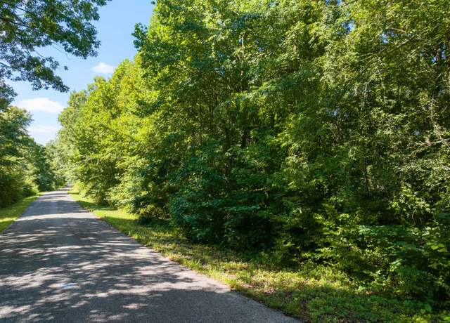 Property at 0 Parrish Rd, Linden, TN 37096