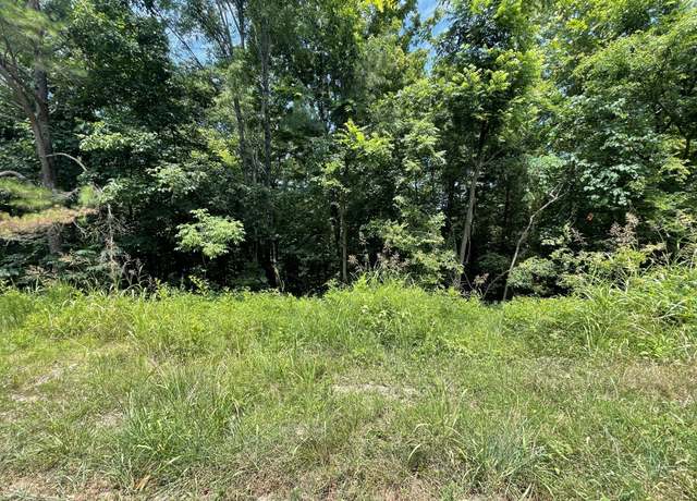 Property at 0 Parrish Hollow Rd, Lynnville, TN 38472
