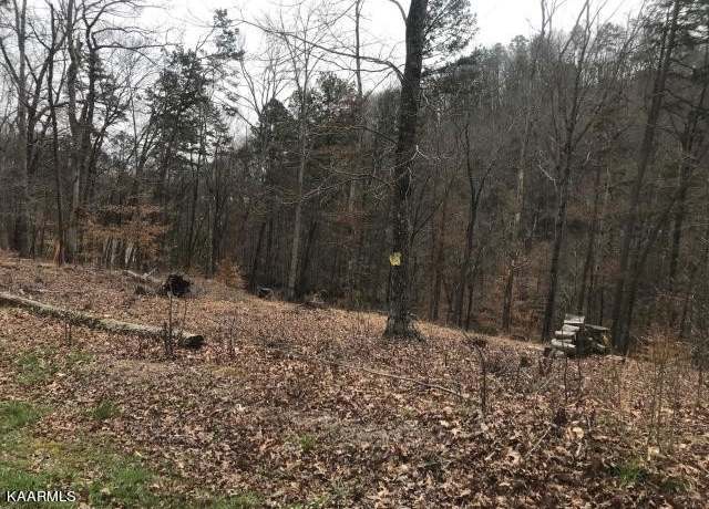 Property at 0 Sawmill Cv, Rockwood, TN 37854