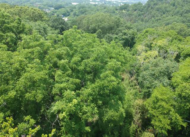 Property at 18 Moon St, Chattanooga, TN 37406