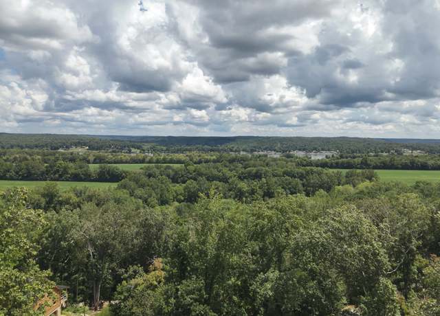 Property at 0 Ridgeway Dr, Sugar Tree, TN 38380