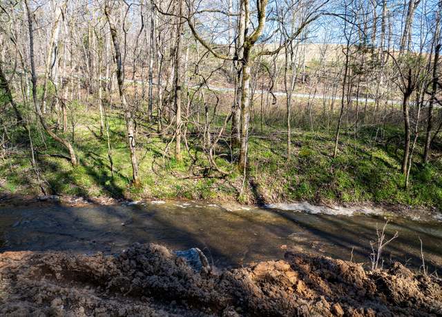 Property at 0 Dog Creek Rd, Primm Springs, TN 38476