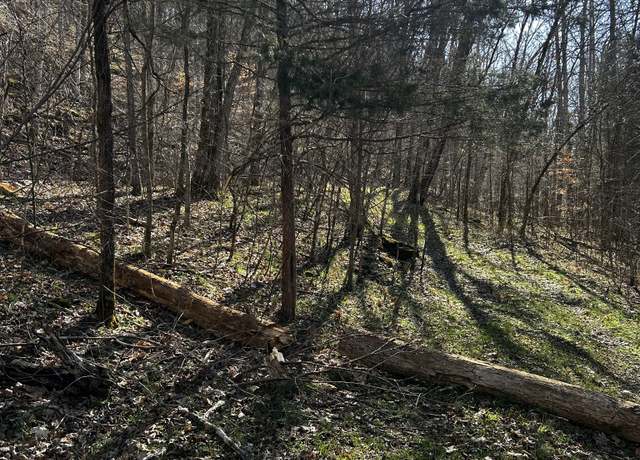 Property at 0 Sycamore Valley Rd, Pleasant Shade, TN 37145