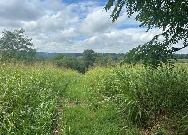 Property at 5A Young Hollow Rd, Belvidere, TN 37306