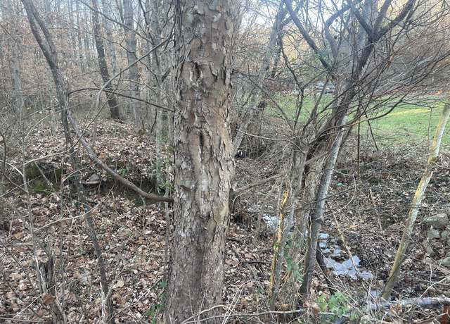 Property at 16 Autumn Trl, Dover, TN 37058