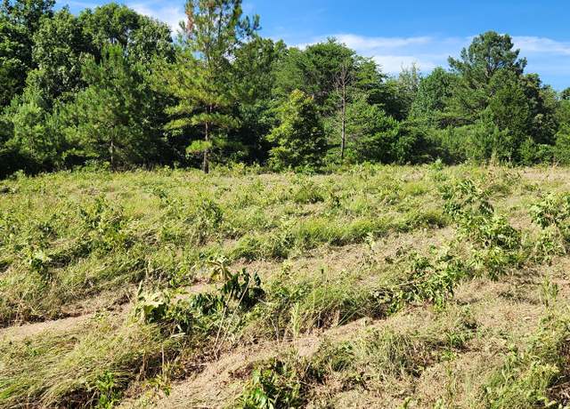 Property at 0 Aaron Ln, Nunnelly, TN 37137