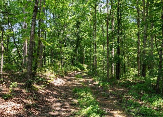 Property at 0 Turkey Creek Rd, Waverly, TN 37185