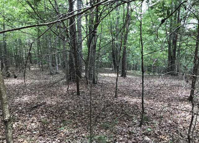 Property at 0 Bluffview Dr, Dunlap, TN 37327