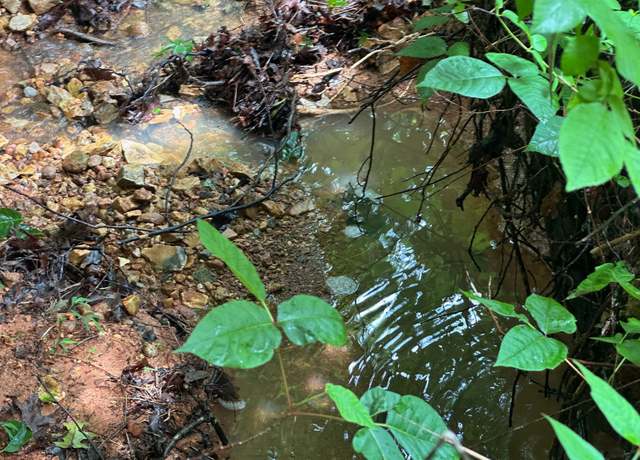 Property at 0 Carlisle Rd, Dover, TN 37058