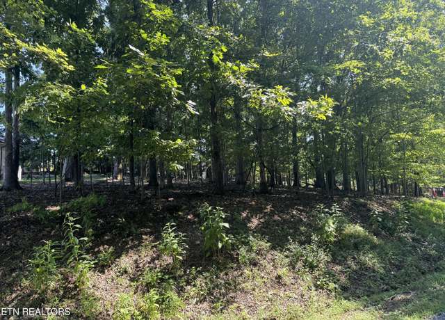 Property at 227 Chahyga Cir, Loudon, TN 37774