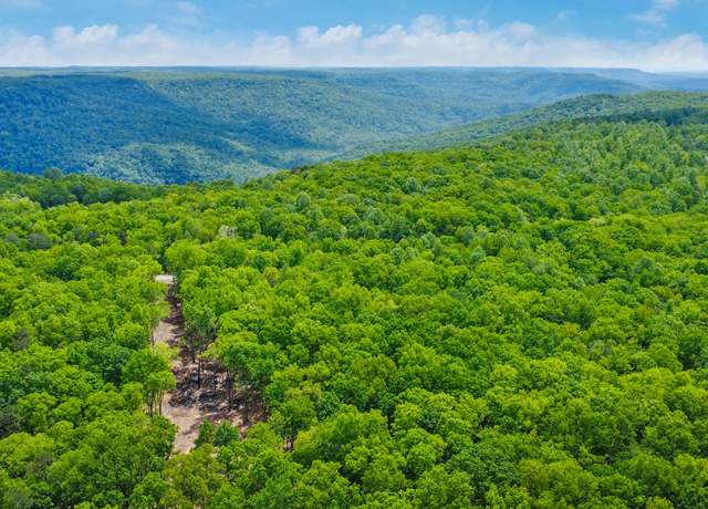 Property at 540 Cumberland Cove Rd, Monterey, TN 38574