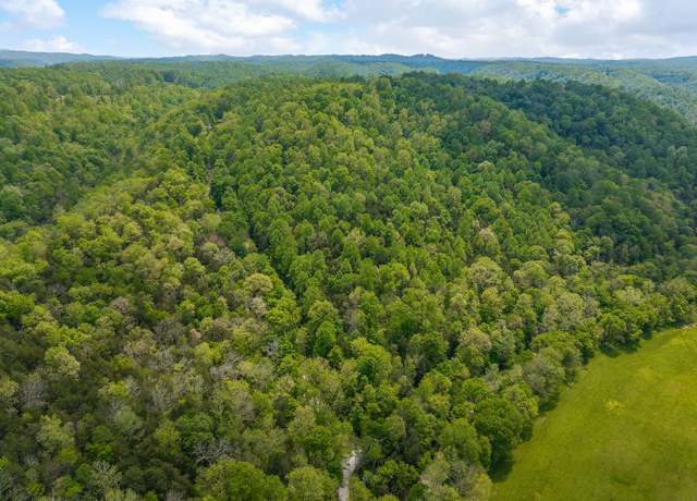 Property at 0 Red Bud Ln TN, Hilham, TN 38568