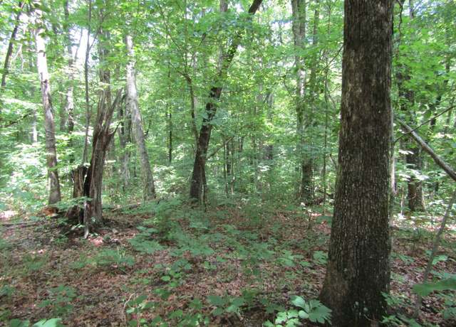 Property at 0 Davidson Dr, Monterey, TN 38574