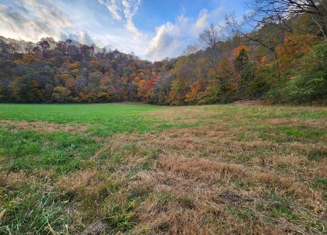 Property at 0 Pine Lick Rd, Whitleyville, TN 38588