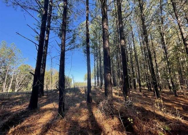 Property at 138 Center Ridge Dr, Linden, TN 37096