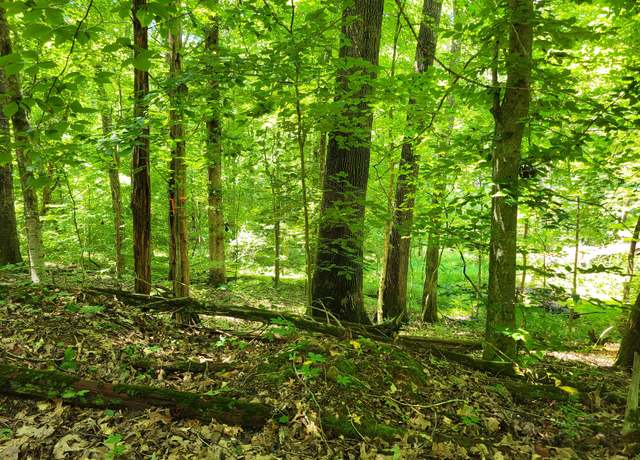 Property at 1 Indian Creek Rd, Dover, TN 37058