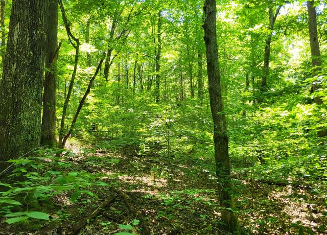 Property at 1 Indian Creek Rd, Dover, TN 37058