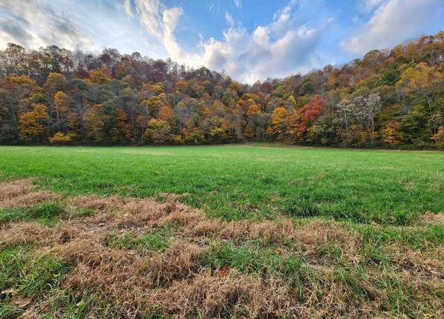 Property at 0 Pine Lick Rd, Whitleyville, TN 38588
