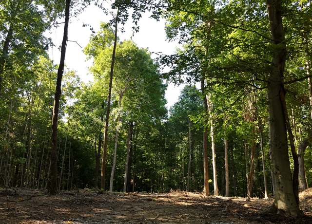 Property at 7950 Bill Moss Rd, White House, TN 37188