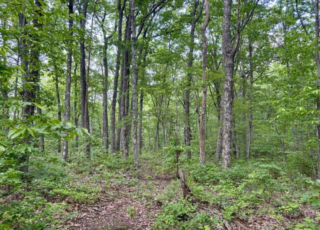 Property at 0 Harrison Ferry Rd, Mcminnville, TN 37110