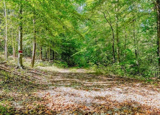 Property at 0 Bolestown Loop Lot 1, Alpine, TN 38543