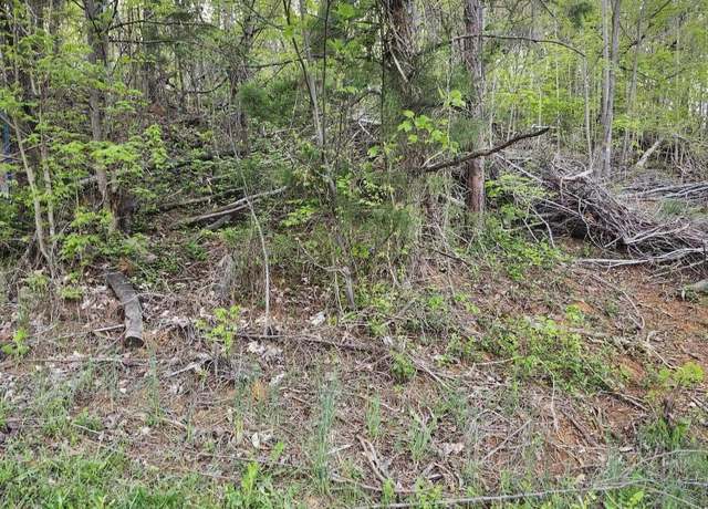 Property at 0 NE Lot #2 Walk In The Trees Dr, New Market, TN 37820