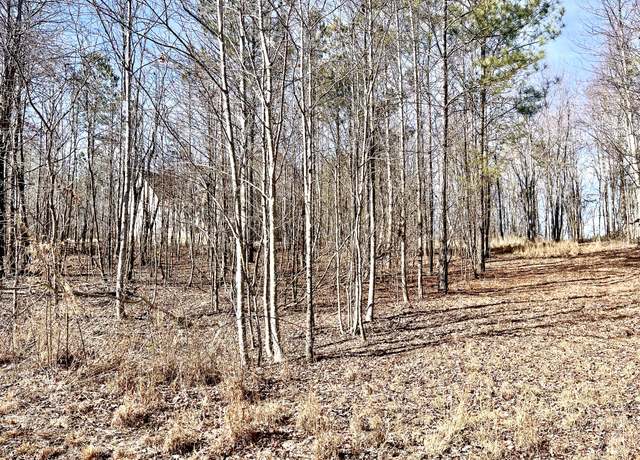 Property at 0 Crockett Pointe, Jasper, TN 37347