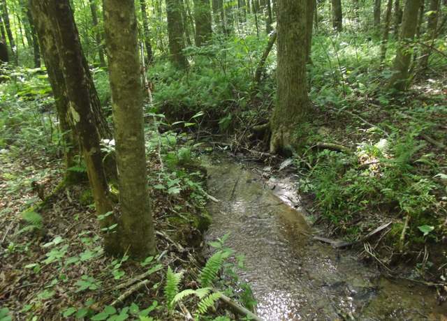 Property at 0 Old Altamont Rd, Tracy City, TN 37387